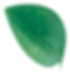 leave